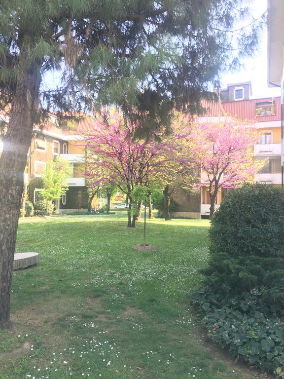 Il Contrabbasso Cremona Bagian luar foto