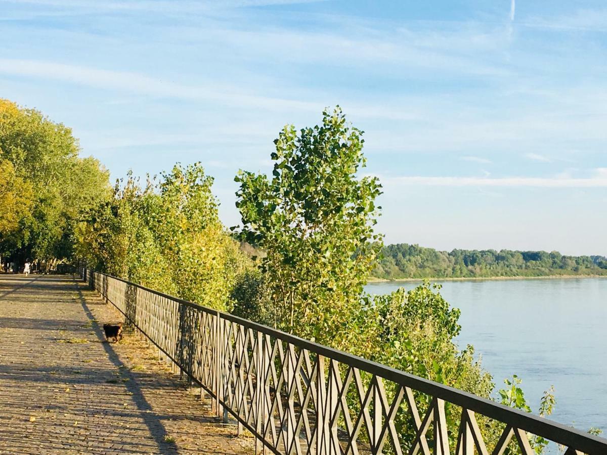 Il Contrabbasso Cremona Bagian luar foto