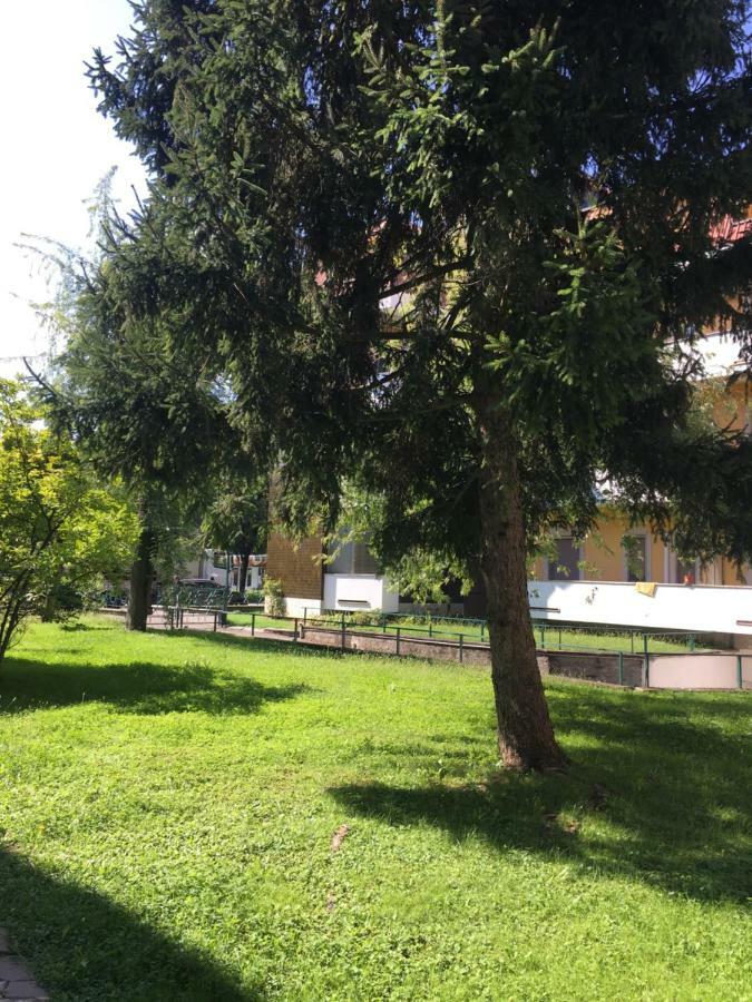 Il Contrabbasso Cremona Bagian luar foto